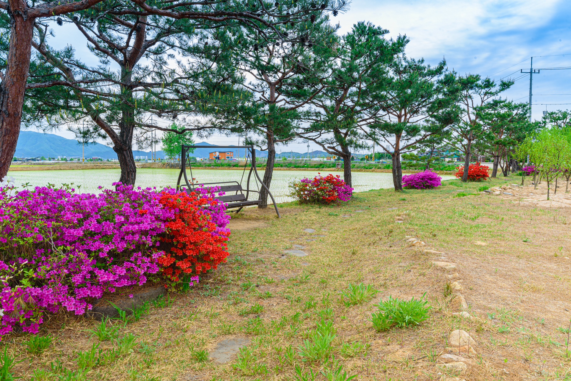 96f7f19472ece8fe9db4fe9d077d1eb2_1591257248_4524.jpg 96f7f19472ece8fe9db4fe9d077d1eb2_1591257248_4524.jpg